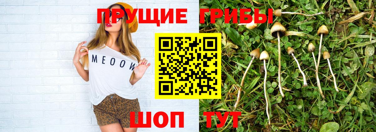Псилоцибиновые грибы мицелий Богородицк